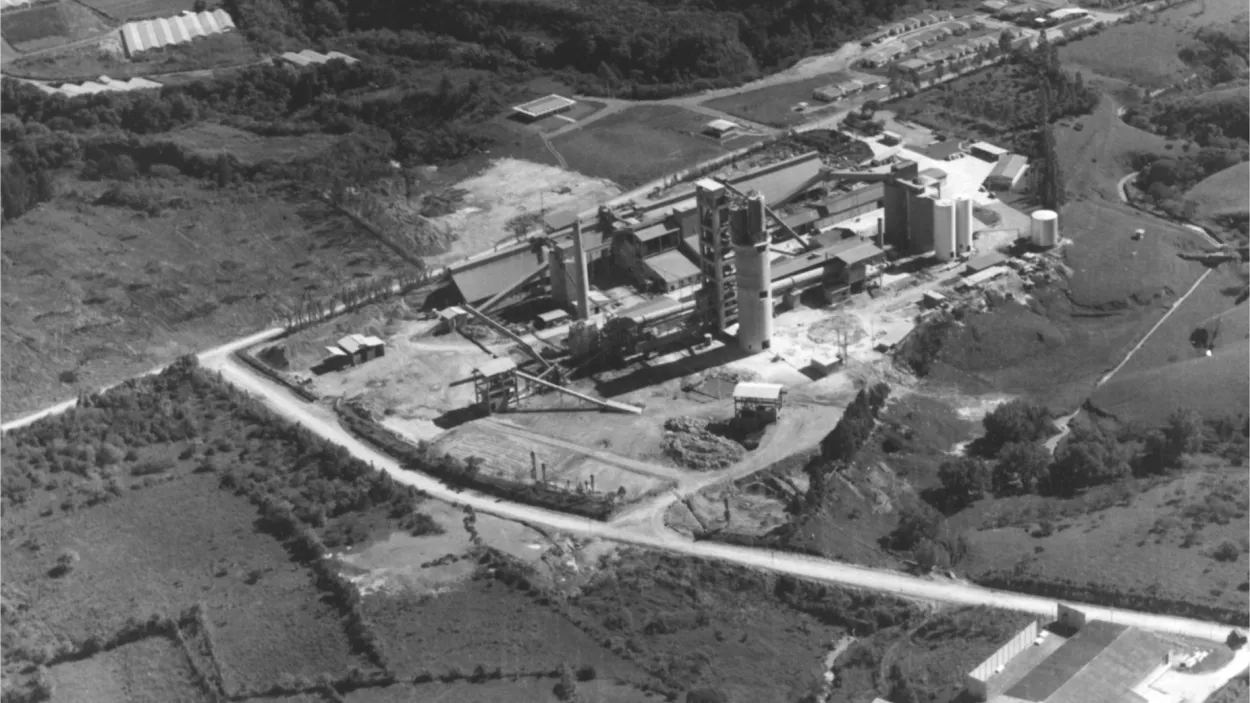 planta-1965.jpg
